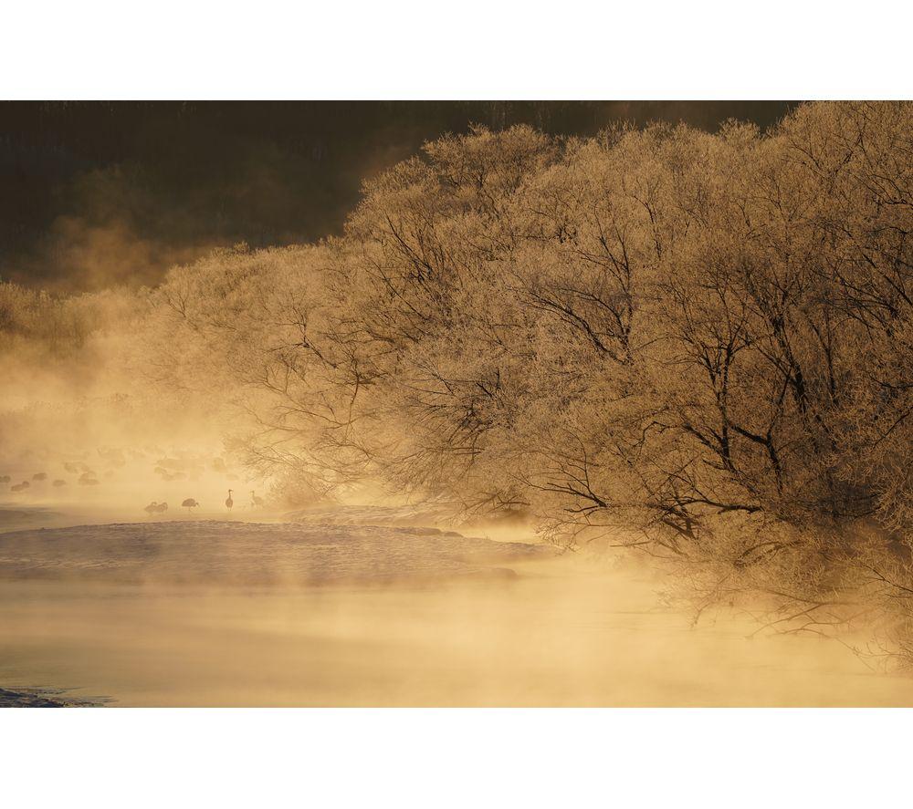 Cámara sin espejo SONY a7 III - Solo cuerpo