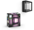 PHILIPS HUE Econic White & Colour Ambiance Smart Outdoor LED Wall Light - Black