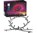 PHILIPS HUE Festavia Smart LED Colour String Lights - 250 mini LEDs, 20 m