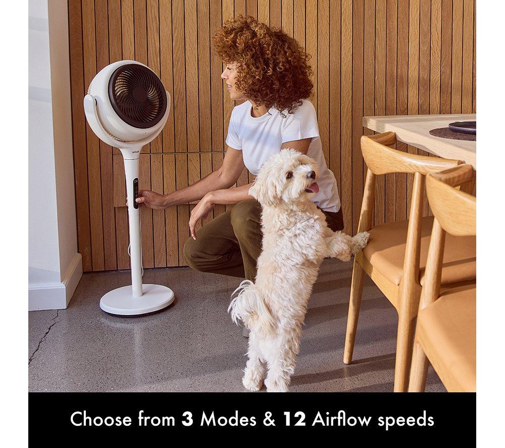 AIRCRAFT HOME LUME Quiet Air Circulator 8" Pedestal Fan - Stone White