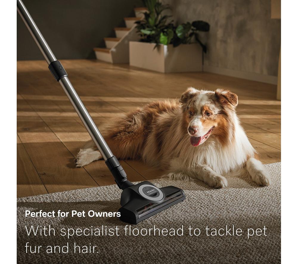 MIELE Guard M1 Cat & Dog Cylinder Bagged Vacuum Cleaner - Black