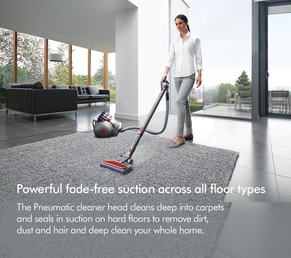 DYSON Big Ball Animal 2 Aspiradora sin bolsa de cilindro - Púrpura pulverizado/hierro