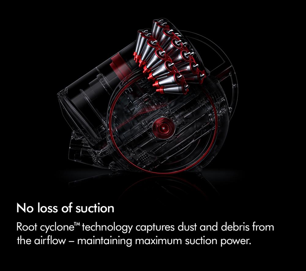 DYSON Big Ball Animal 2 Aspiradora sin bolsa de cilindro - Púrpura pulverizado/hierro