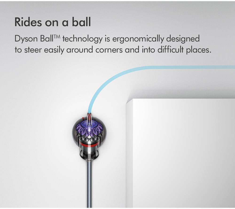 DYSON Big Ball Animal 2 Aspiradora sin bolsa de cilindro - Púrpura pulverizado/hierro