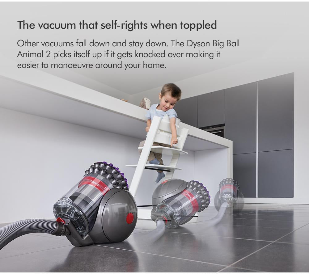 DYSON Big Ball Animal 2 Aspiradora sin bolsa de cilindro - Púrpura pulverizado/hierro