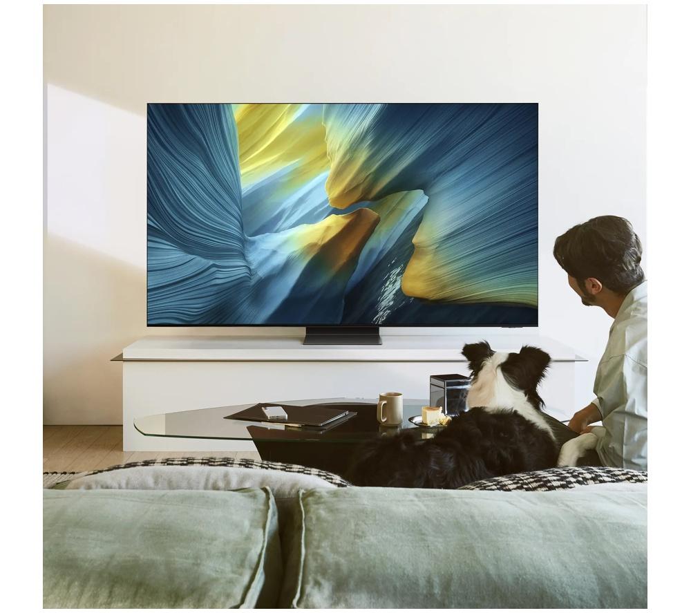 SAMSUNG S95F 55" OLED Glare Free 4K Vision AI Smart TV 2025 - QE55S95F