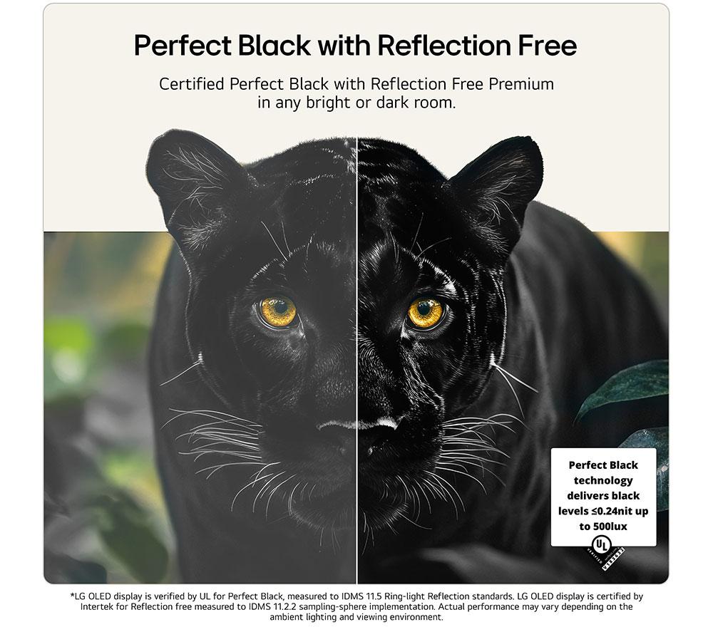 LG G6 55" OLED AI 4K HDR Smart TV 2026 (Stand Version) - OLED55G66LS