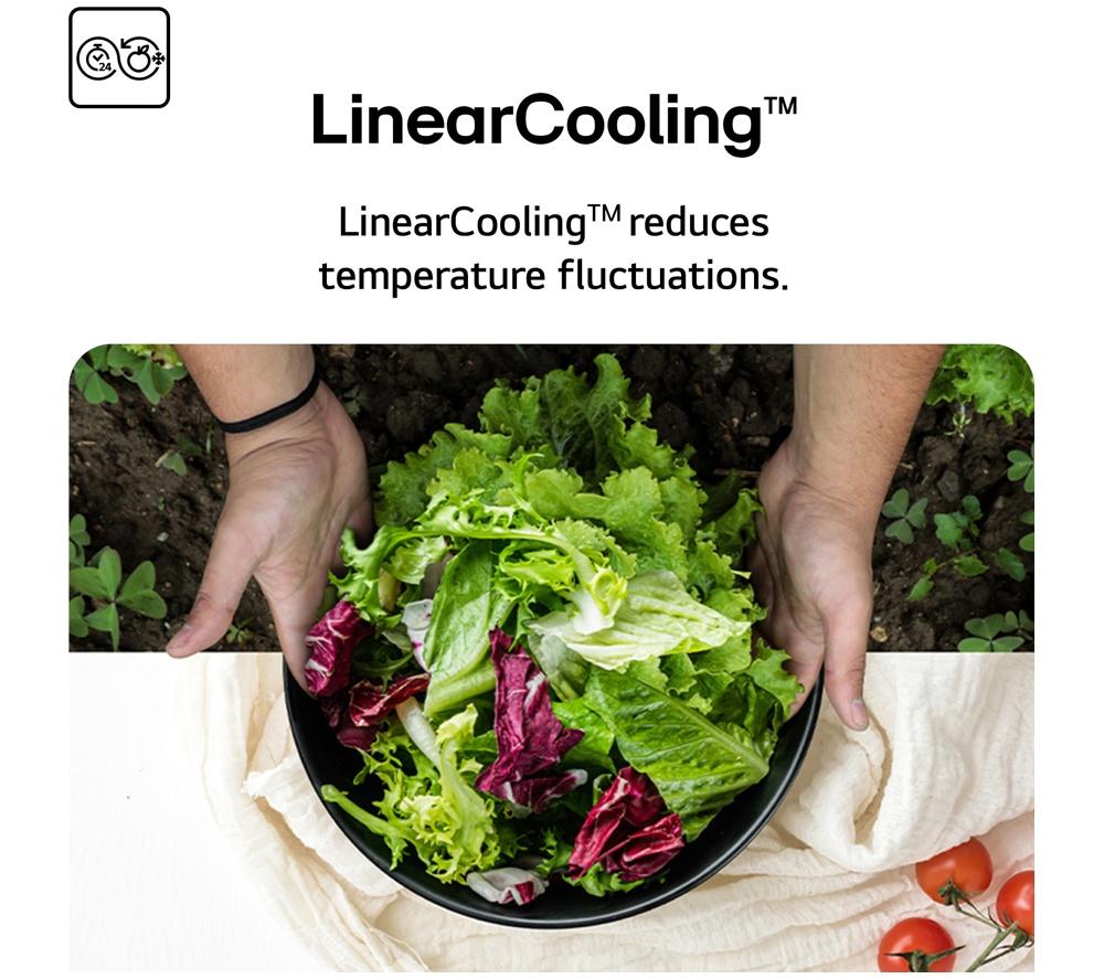 LG NatureFRESH GSLC41PYPE Amerikanischer Kühlschrank – Prime Silver