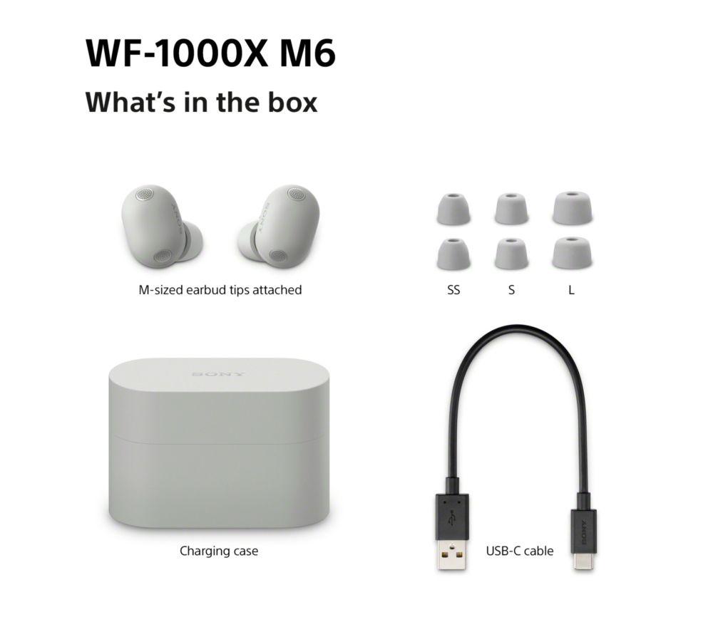 SONY WF-1000XM6 Wireless Bluetooth Noise-Cancelling Earbuds - Silver